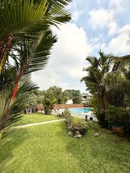 Cluny Park (D10), Detached #560244391